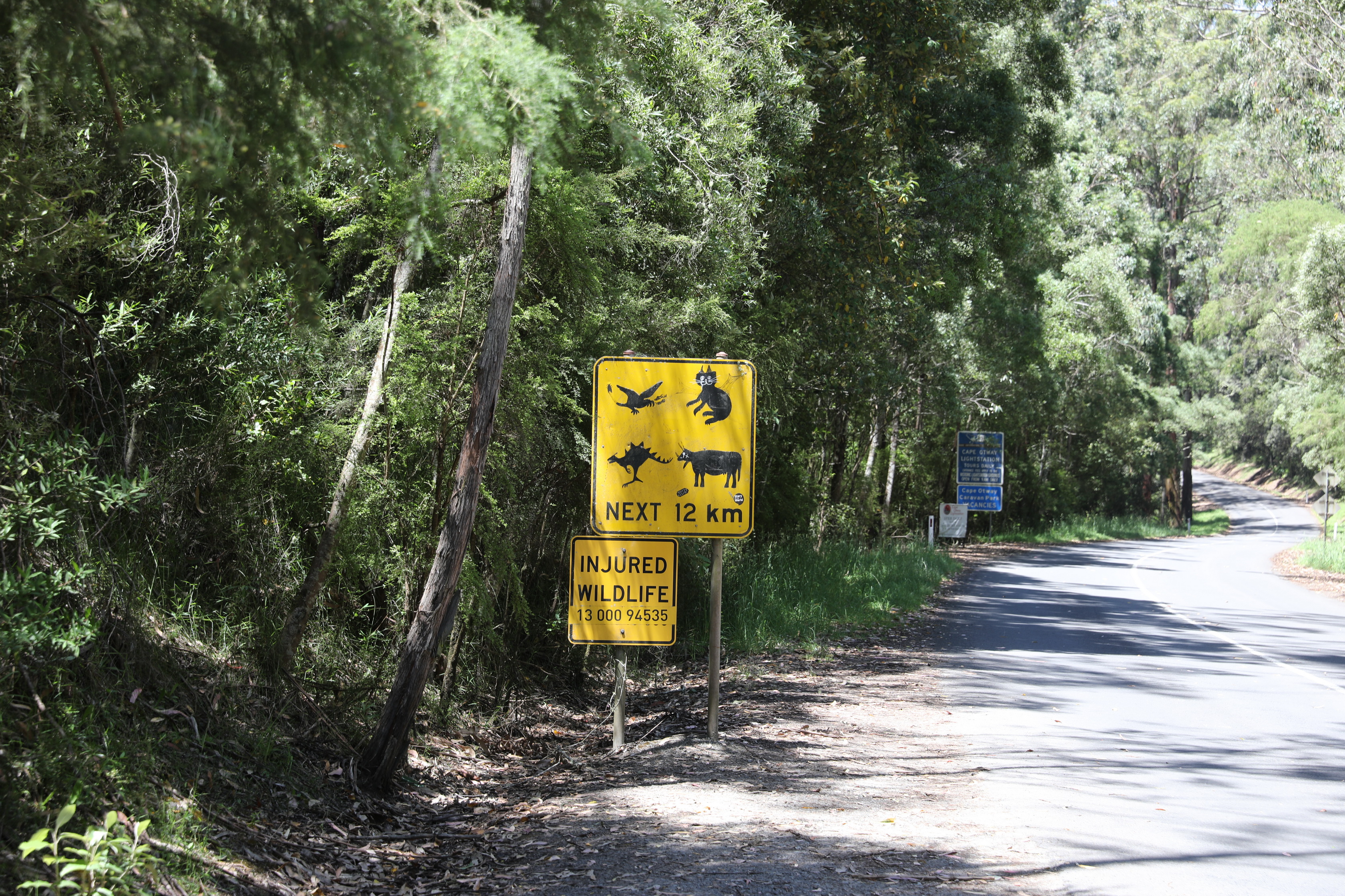 2019 12 20 12 29 03 Canon EOS 5D Mark IV 0010